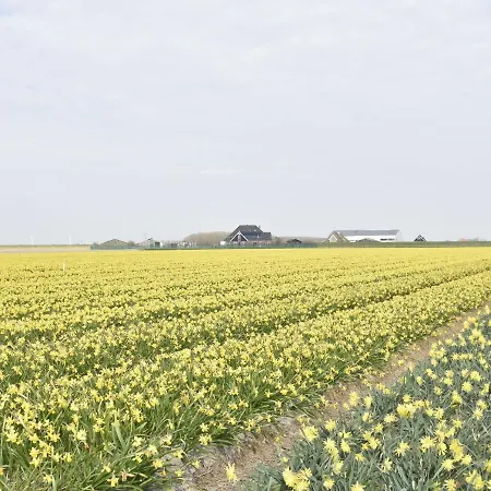 In North Holland Near