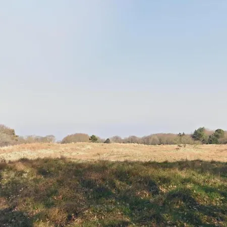 Hazenborgh Near Coast In