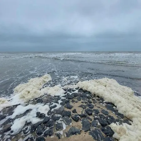In North Holland Near *